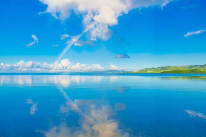 ✿「風 Ⅴ」✿ tweet media