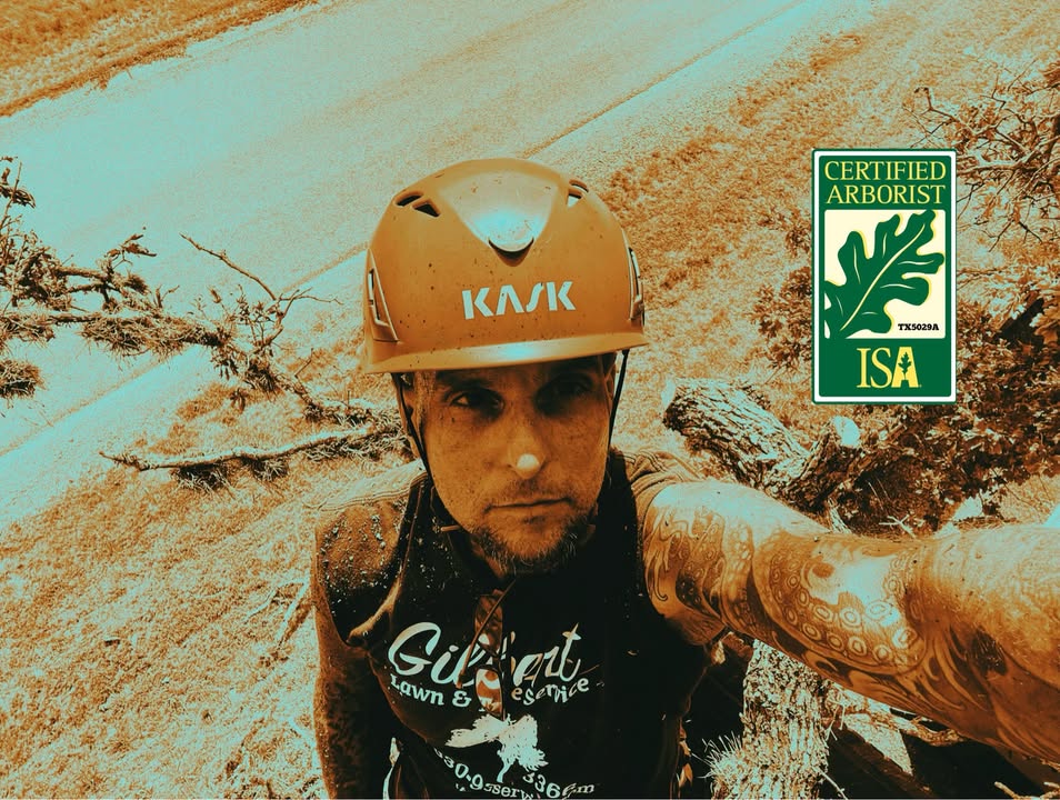 gilbertlawn's tweet image. Most tree failures occur during storms when strong wind, rain, snow or ice loads exceeds the tree’s capacity.
Free tree assessment by certified arborist!
Message us for an estimate 
Or
zurl.co/mX9pO 
#arborist #tree #kerrville #planthealthcare#workerscomp #treeservice