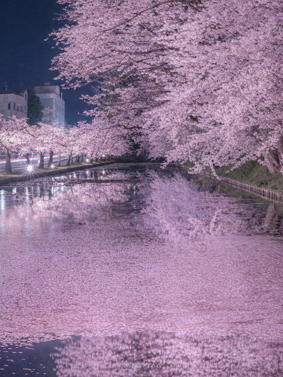 ベンジー tweet media