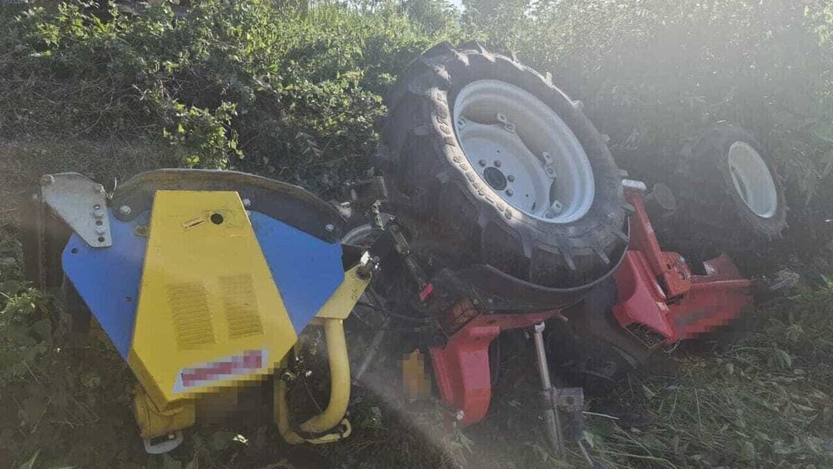 Roma Today tweet media