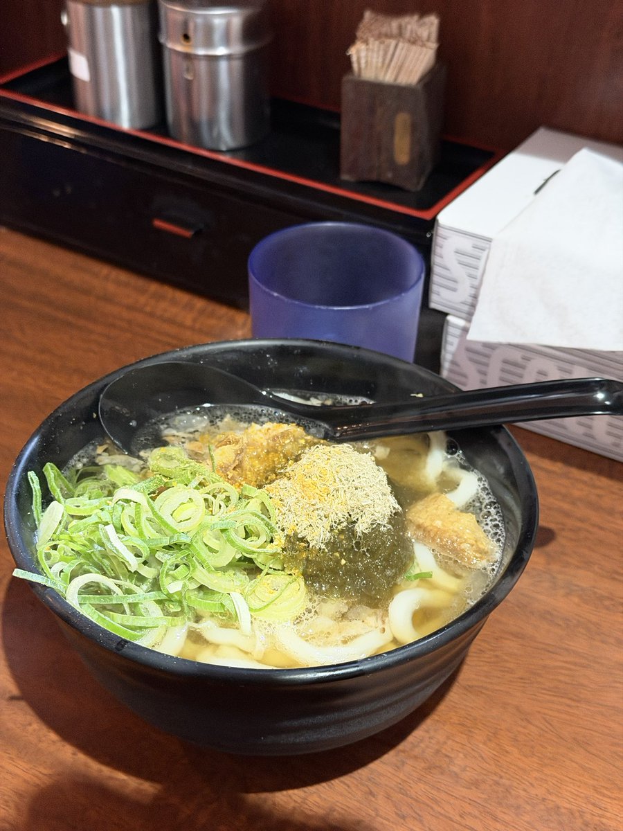 まぐろ教授💫 tweet media