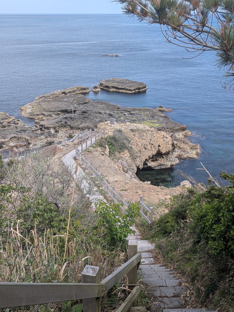 磯崎由美子 tweet media