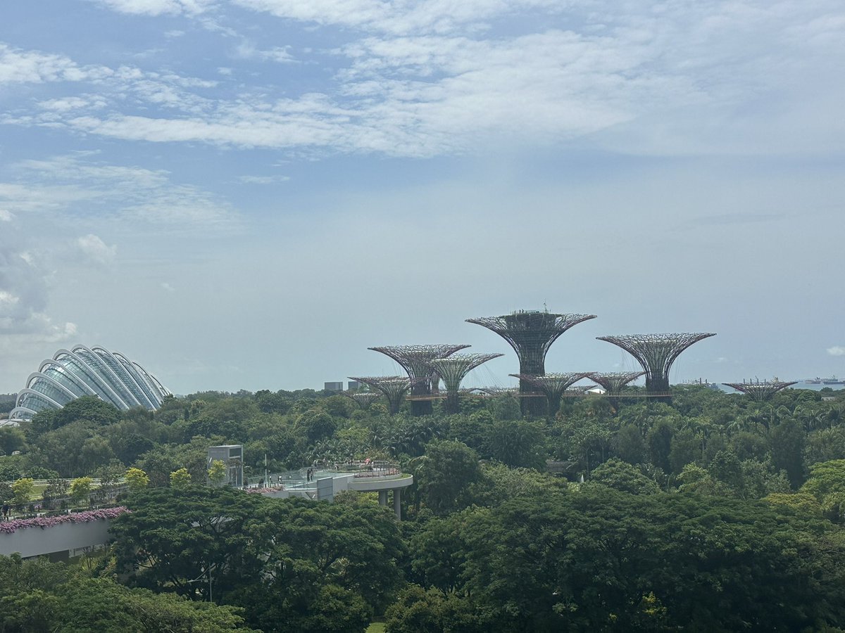 차원랑🐺💜🌙 tweet media