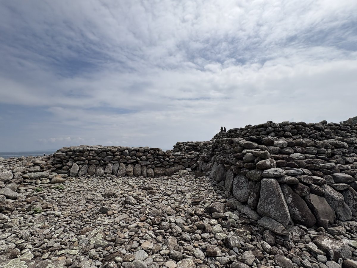 北村 聡  バンドネオン奏者 tweet media