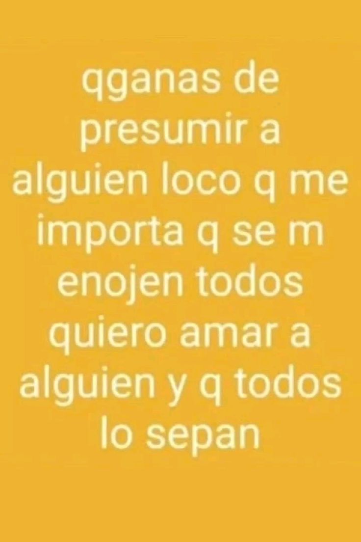 loreto tweet media