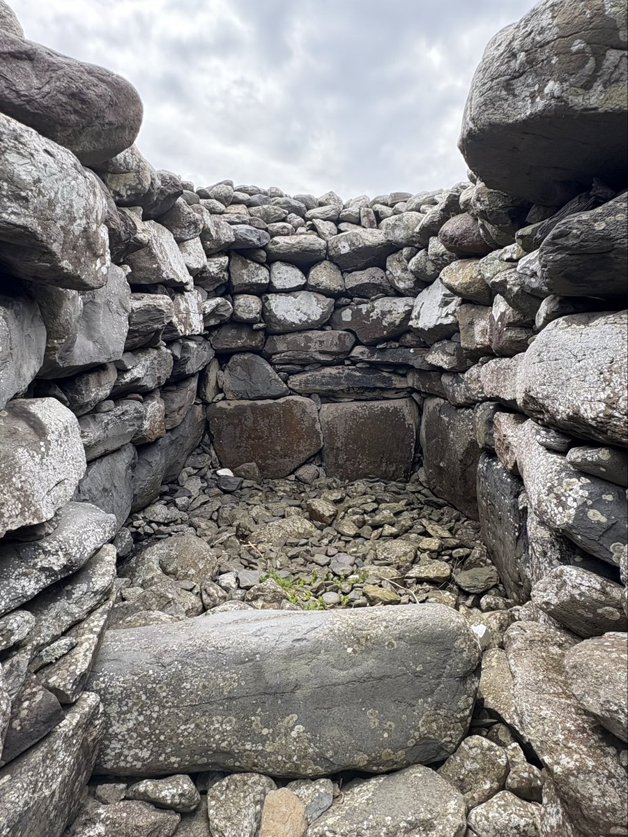 北村 聡  バンドネオン奏者 tweet media