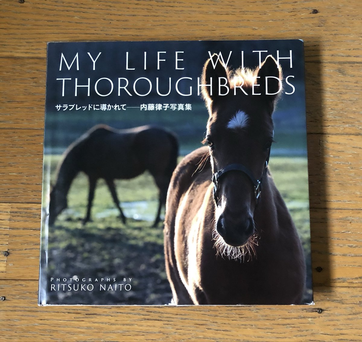 内藤律子 馬専門の写真家 tweet media