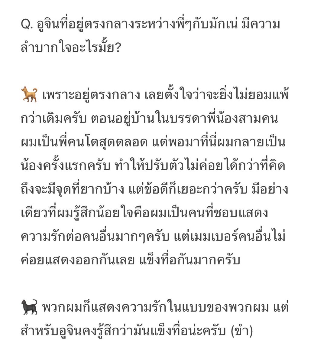 빈찬의 고양이 🐈 tweet media