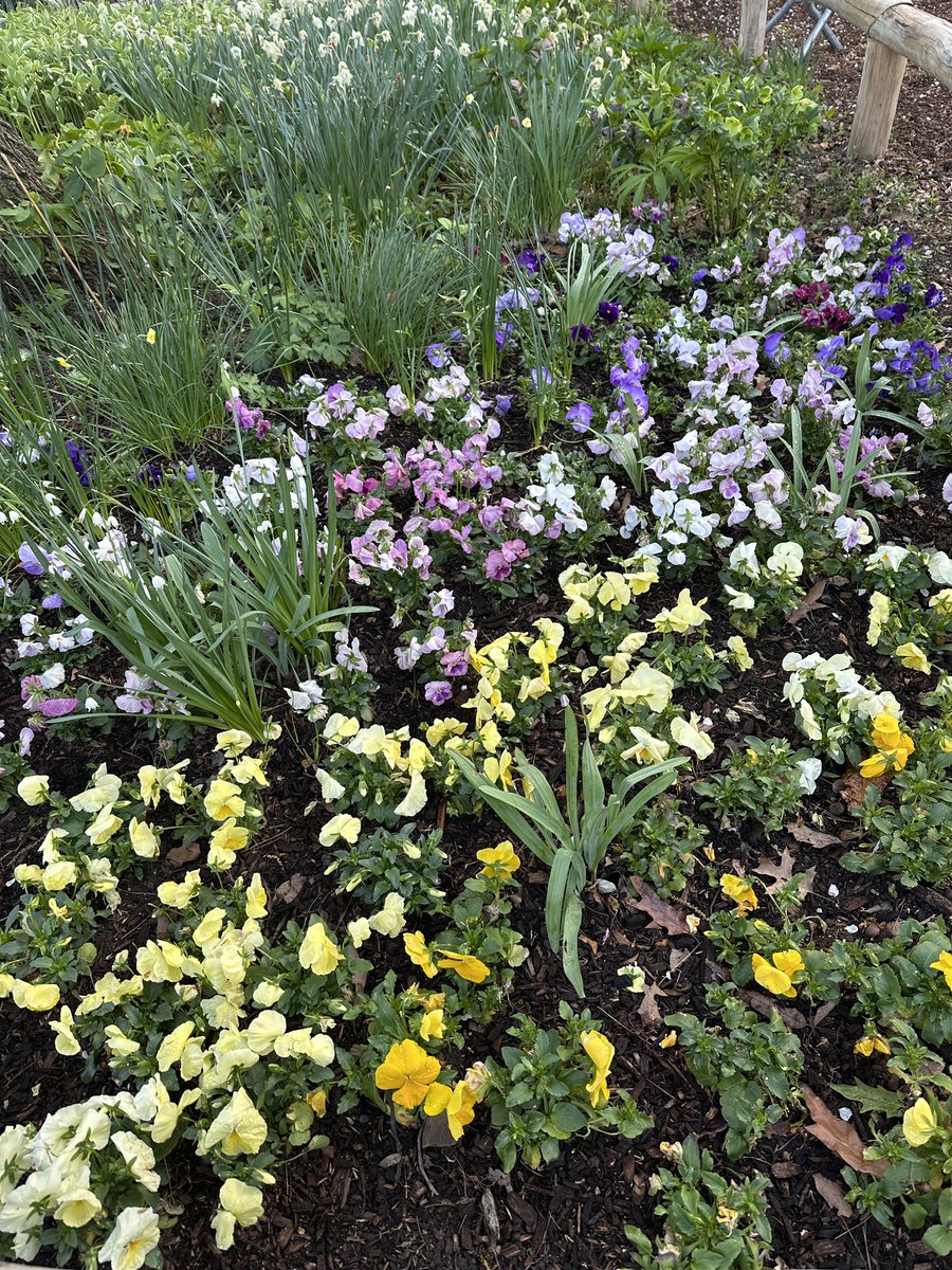 There’s nothing like New York City in the Spring 🌸