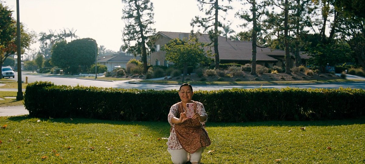 screencaps tweet media