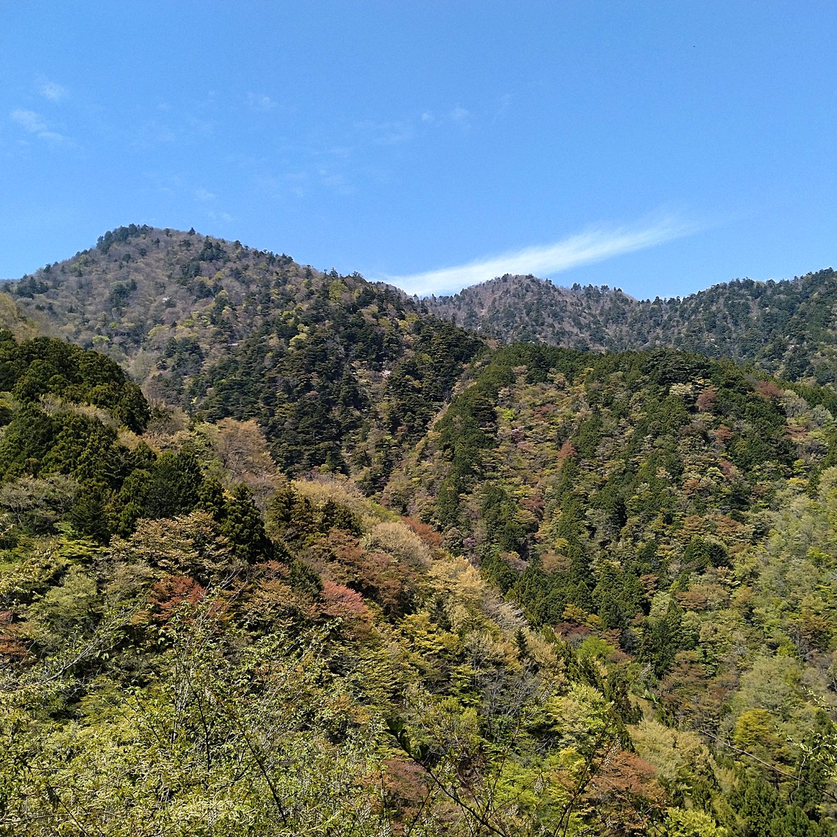 源流斎（内水面漁業協同組合員） tweet media