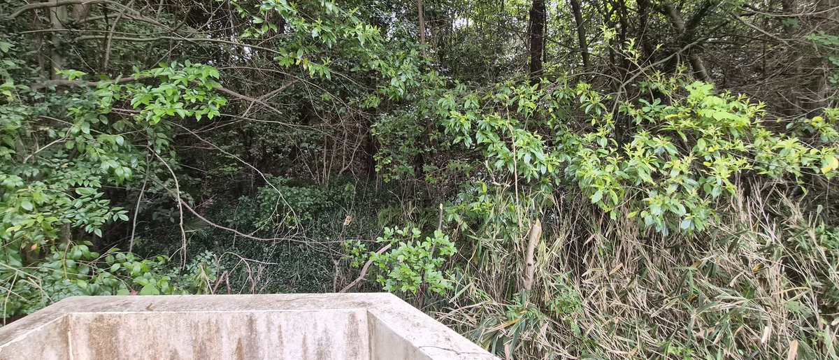 エル@アプローチ全振りマン tweet media