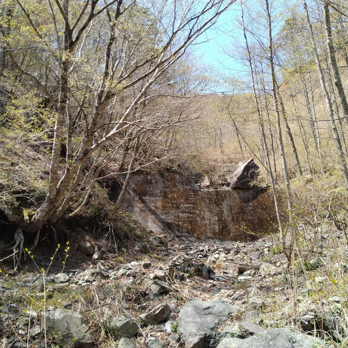 源流斎（内水面漁業協同組合員） tweet media