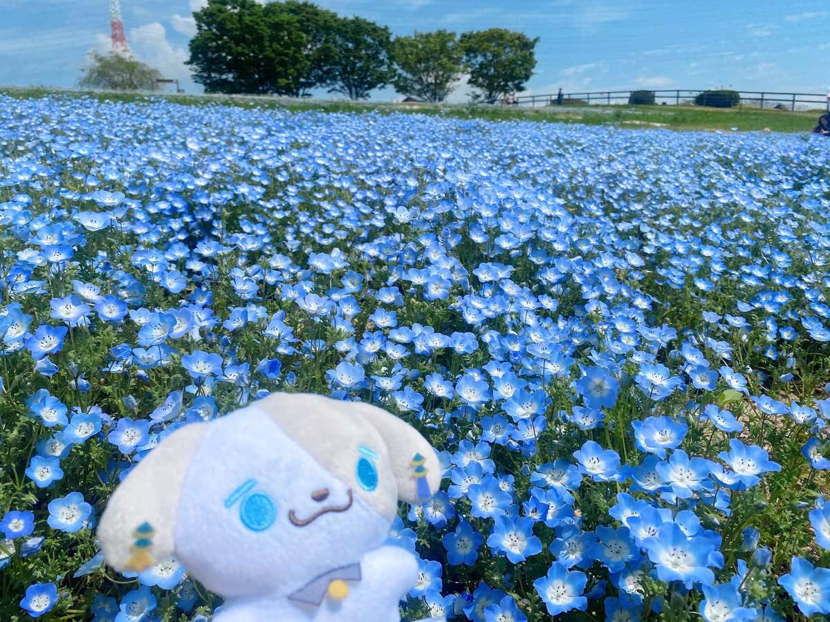 はるたうんも青が似合うね