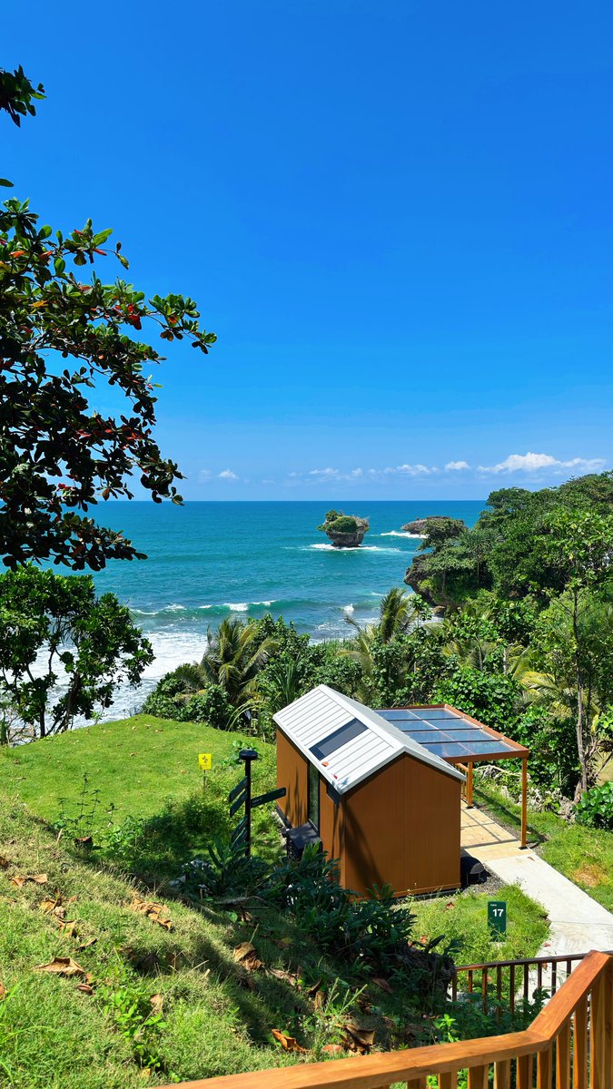 Bara tweet media