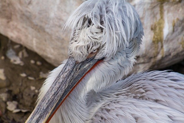 Alan Boone tweet media