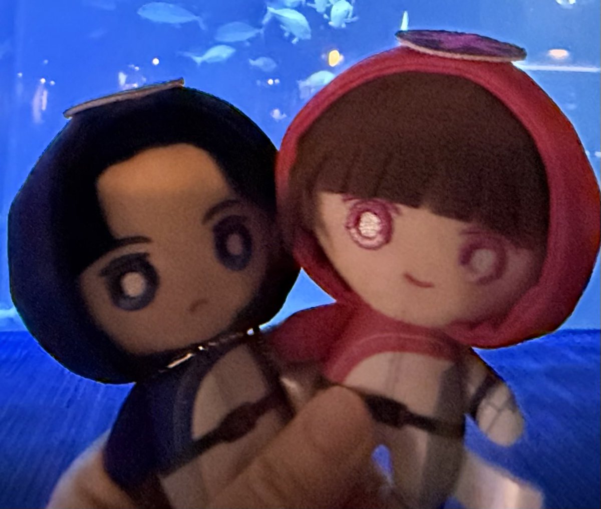 まゆなめこ tweet media