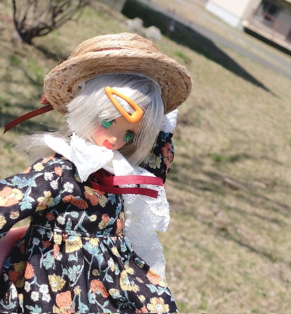 🌻観土🌻 tweet media