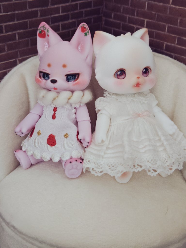 けいそ🦍 tweet media