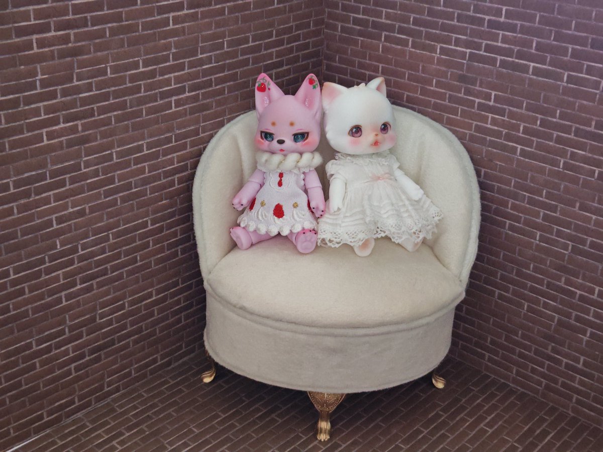 けいそ🦍 tweet media