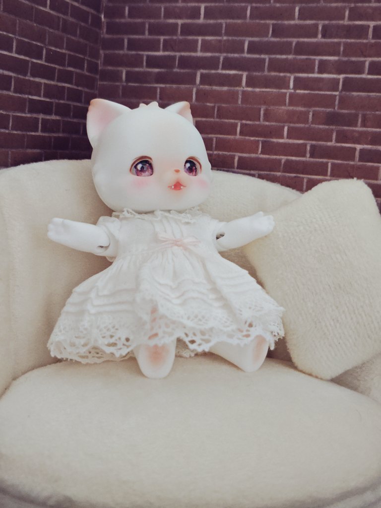 けいそ🦍 tweet media