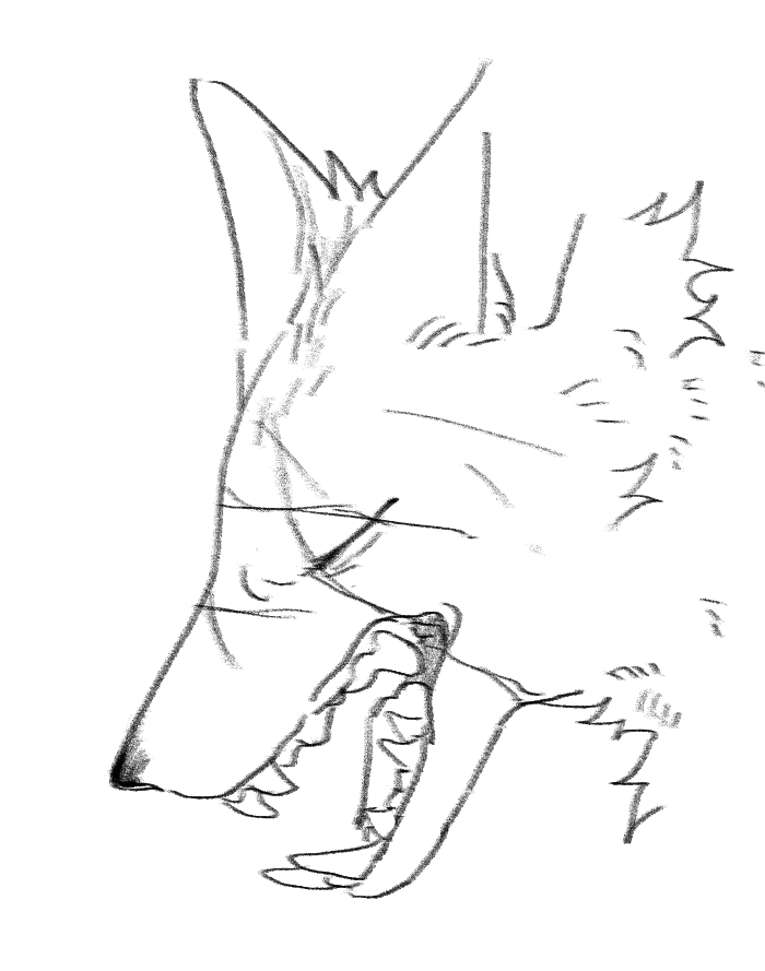 Hi_wolfy's tweet photo. https://t.co/yschPvscUe