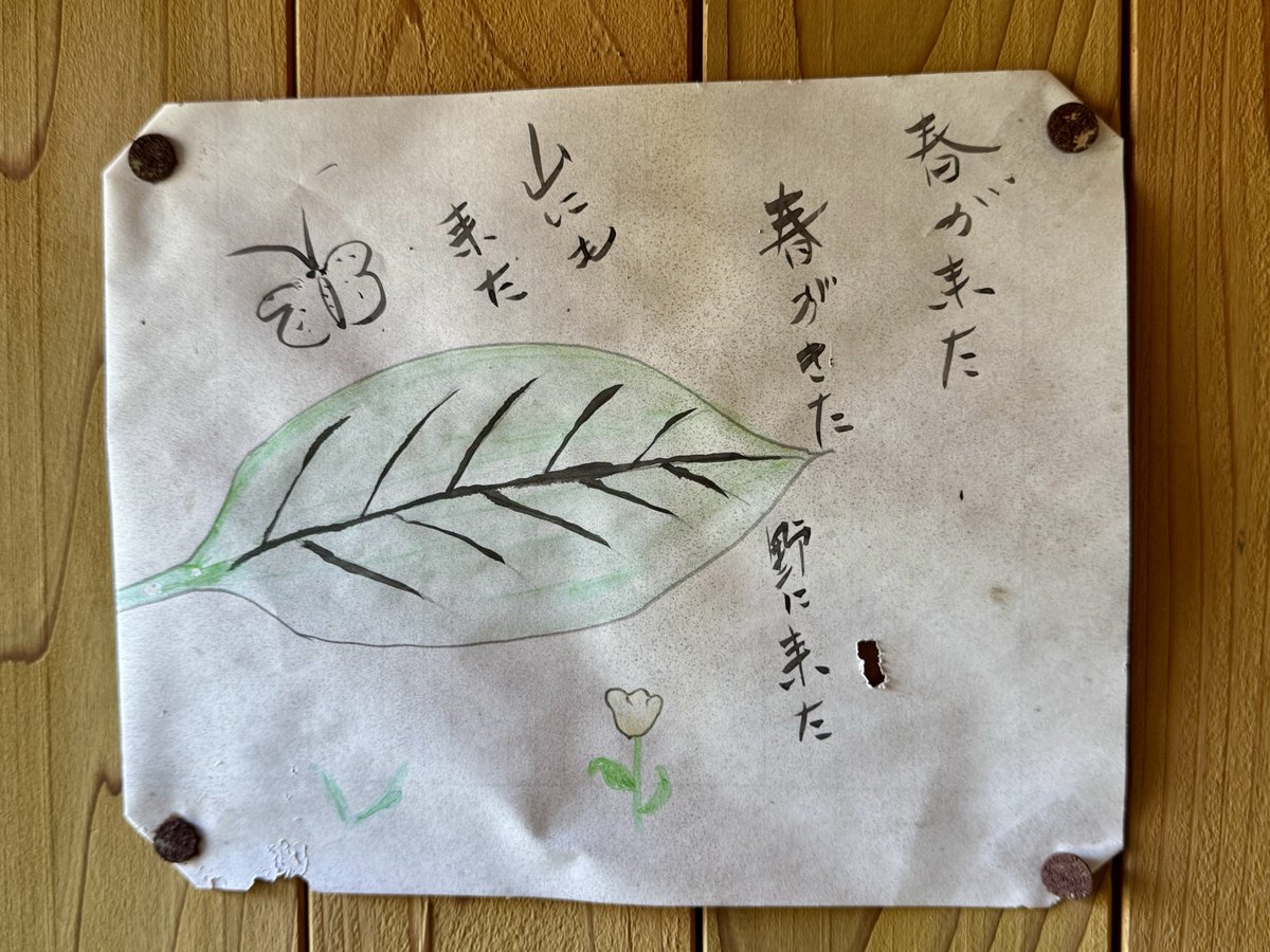 Domon 🏔 tweet media