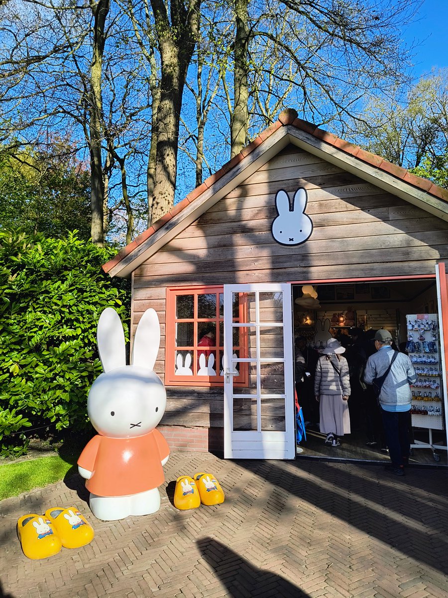 鹵teru🌽 tweet media