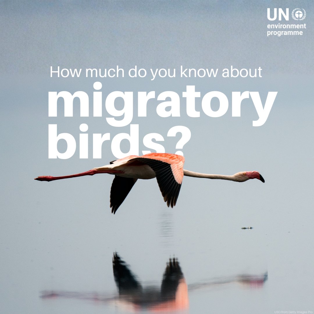 UN Environment Programme tweet media