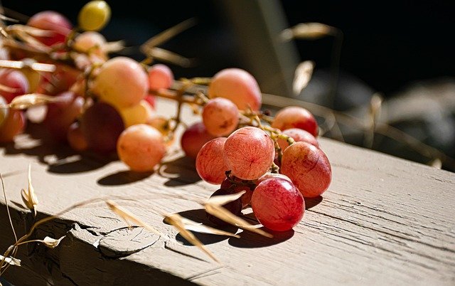 Min Sailor tweet media