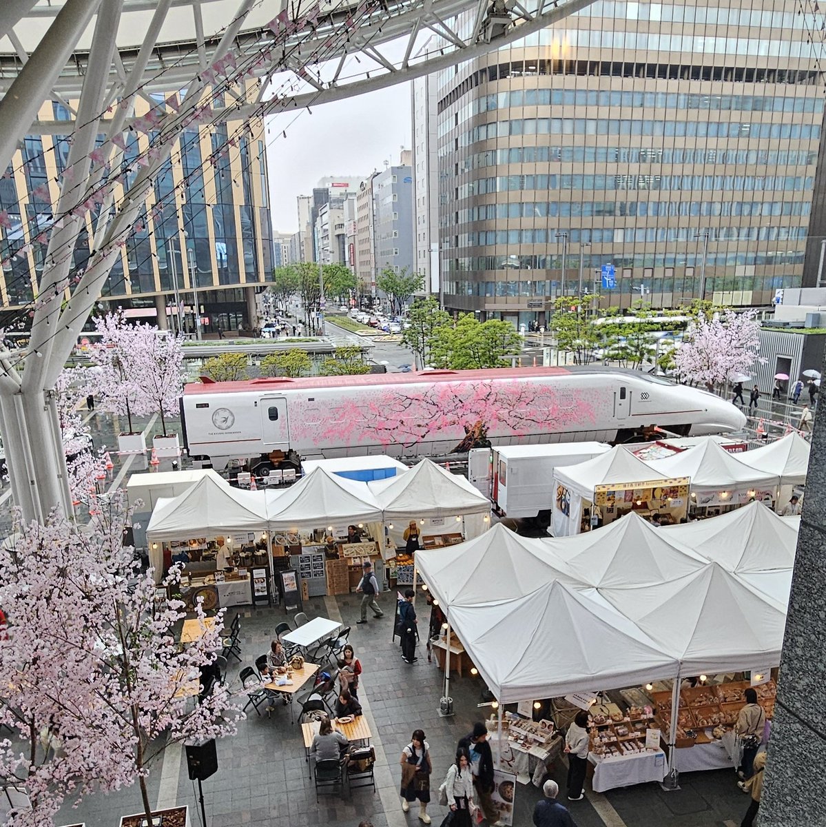 チッチ(新アカウント) tweet media