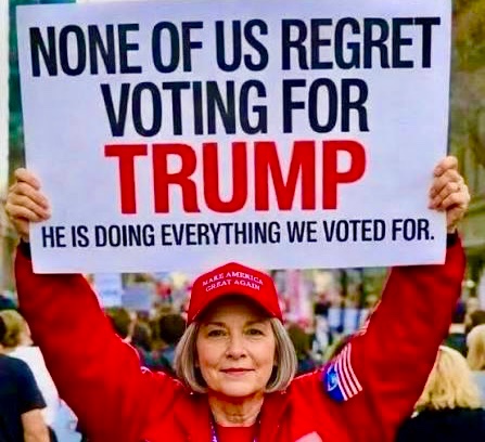 Donna OMeara tweet media