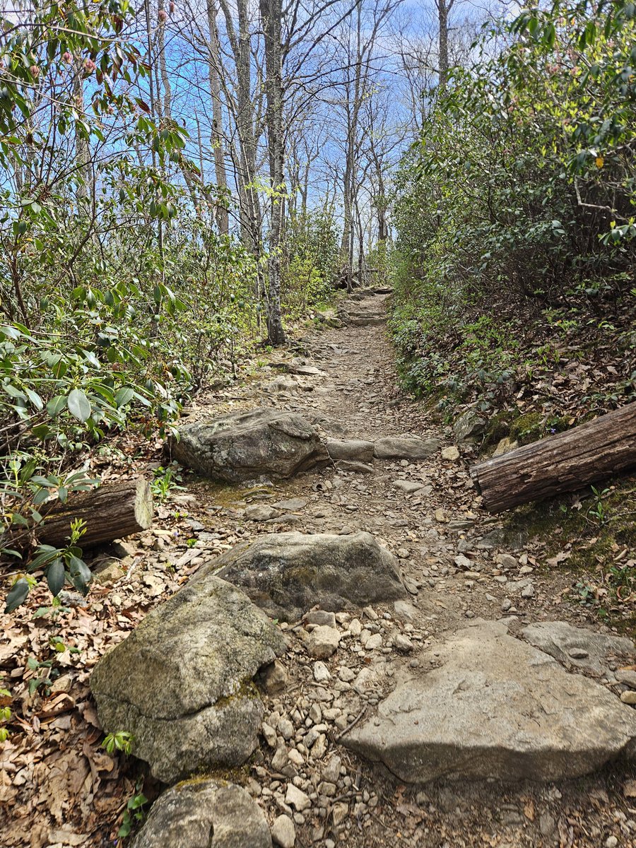 Made the most of the warm and majestic Spring weather this weekend with an exciting hiking trip🥾😃! Joined my friends in exploring the vast and beautiful Shenendoah Valley🏞, a vast oasis of hills, massive mountain ⛰️ ranges, and lush trees 🌳. It was super fun 😁 &amp; exhilarating