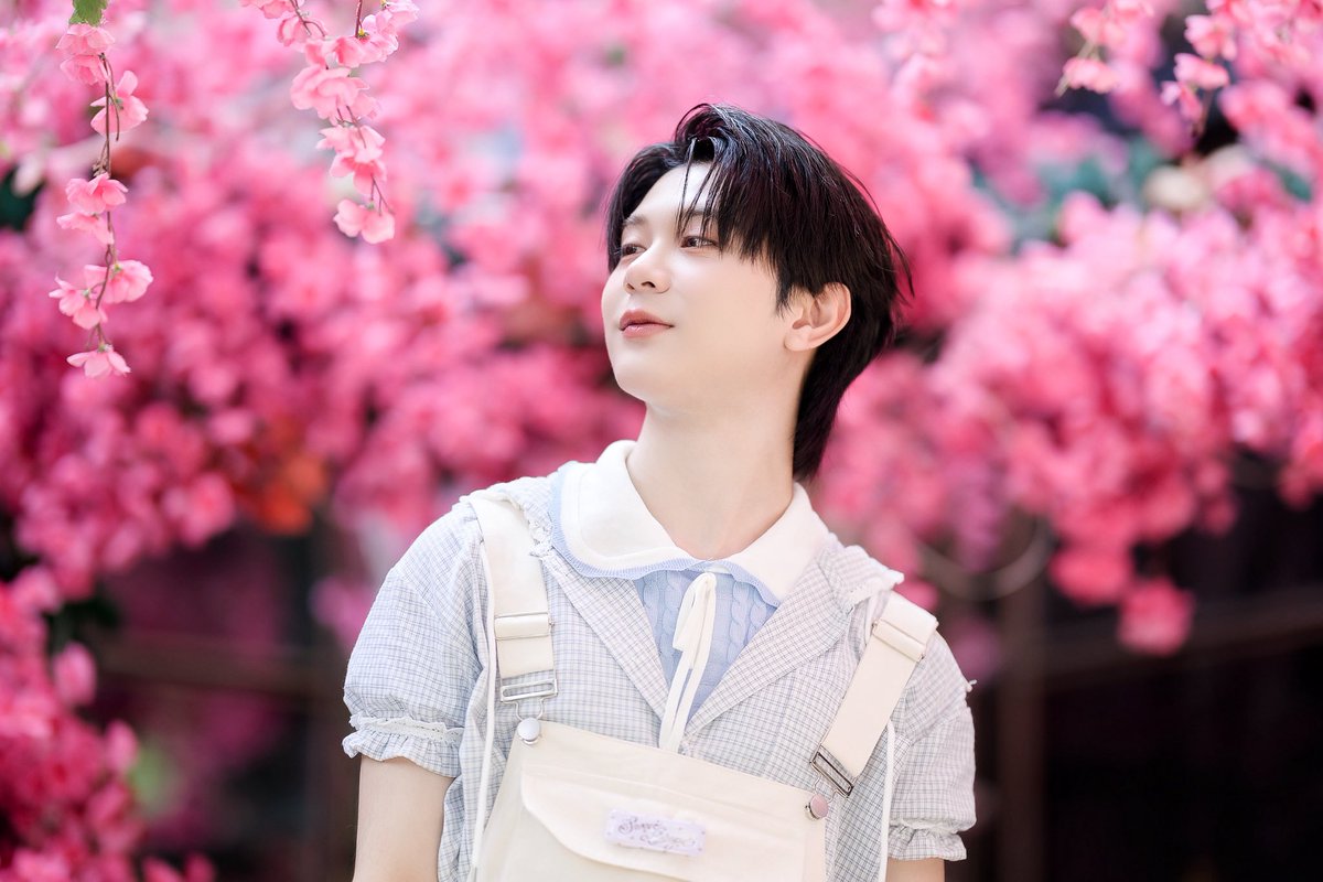 Maple_Riche tweet media