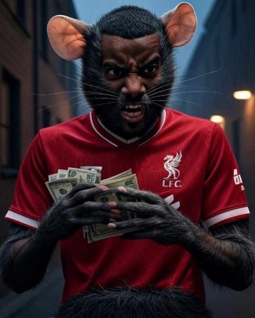 taxidoorlugs tweet media