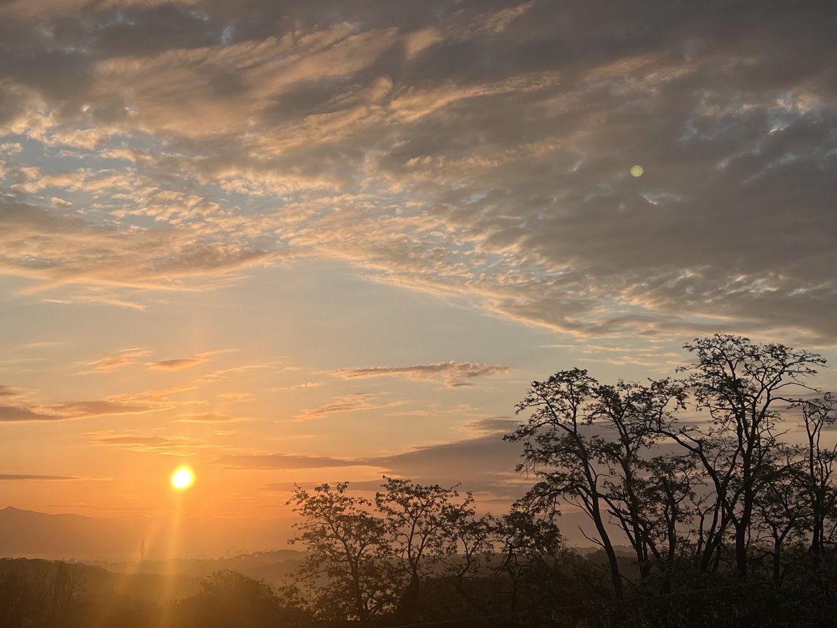 _sam_sa_ra's tweet image. Non siamo più quelli di ieri.

#Buongiorno

📸 #Monday