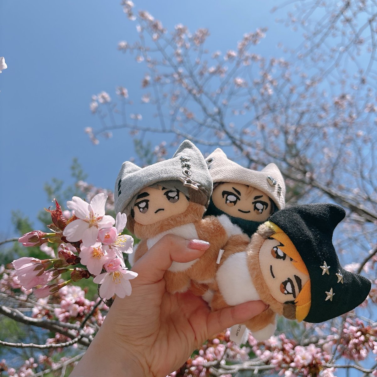陽架 tweet media