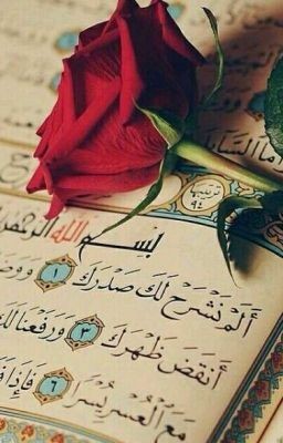 safeer042's tweet photo. ﷽
ذَٰلِكَ الْكِتَابُ لَا رَيْبَ ۛ فِيهِ ۛ هُدًى لِّلْمُتَّقِينَ
(البقرہ - 2)
وہ بلند رتبہ کتاب (قرآن) کوئی شک کی جگہ نہیں، اس میں ہدایت ہے ڈر والوں کو
*
*
الســـــــــــلام وعلیــــــــــکم ورحـــــمۃ اللــــہ وبرکاتــــہ
#صـــــــبح_بـــخــــیـــــر https://t.co/xyUwblcnGT
