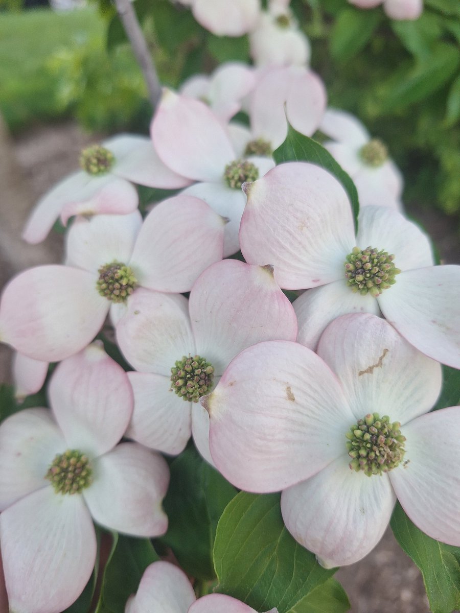 smith86n's tweet image. ......
 #startrek 
#doctorwho 

There  is climate change  ...
...  #god