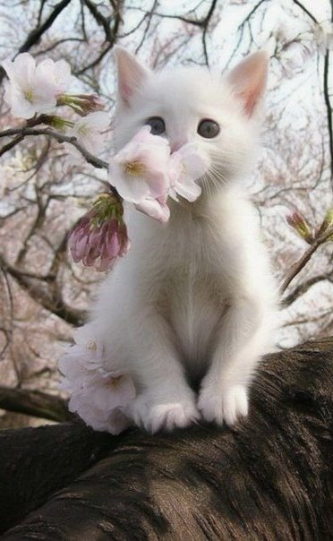 Grigr7's tweet image. #Monday