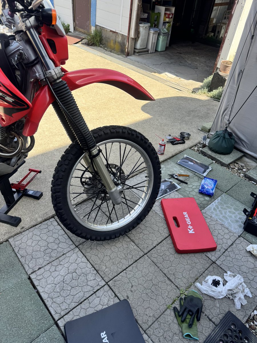 _Ito@🐶(←together 4ever) tweet media