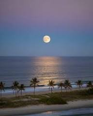 GulfAtlanticInd's tweet image. Good Night #Florida ...

#HurricaneSeason2026 ...  Are You READY!!!

49 Days Away...GET #Hurricane &amp;amp; #Tornado READY ...

Call 800 679 0369 #BBB  &amp;gt; New #Roofs Hurricane Impact #Windows #Doors #StormShutters #ScreenPoolEnclosures Super High Efficiency Central A/C, #BlueRoofs