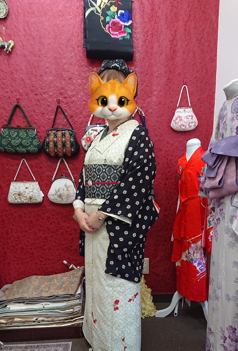 ネコヤナギ店主 tweet media