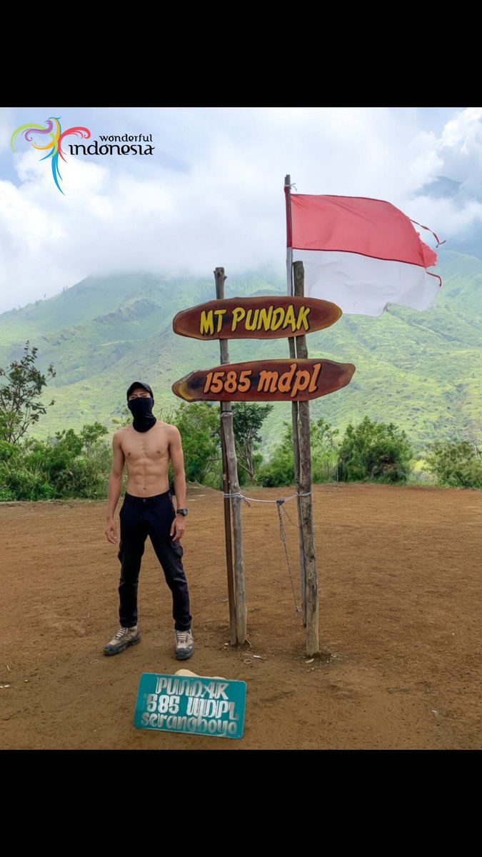 Zeirnovz Adventure tweet media