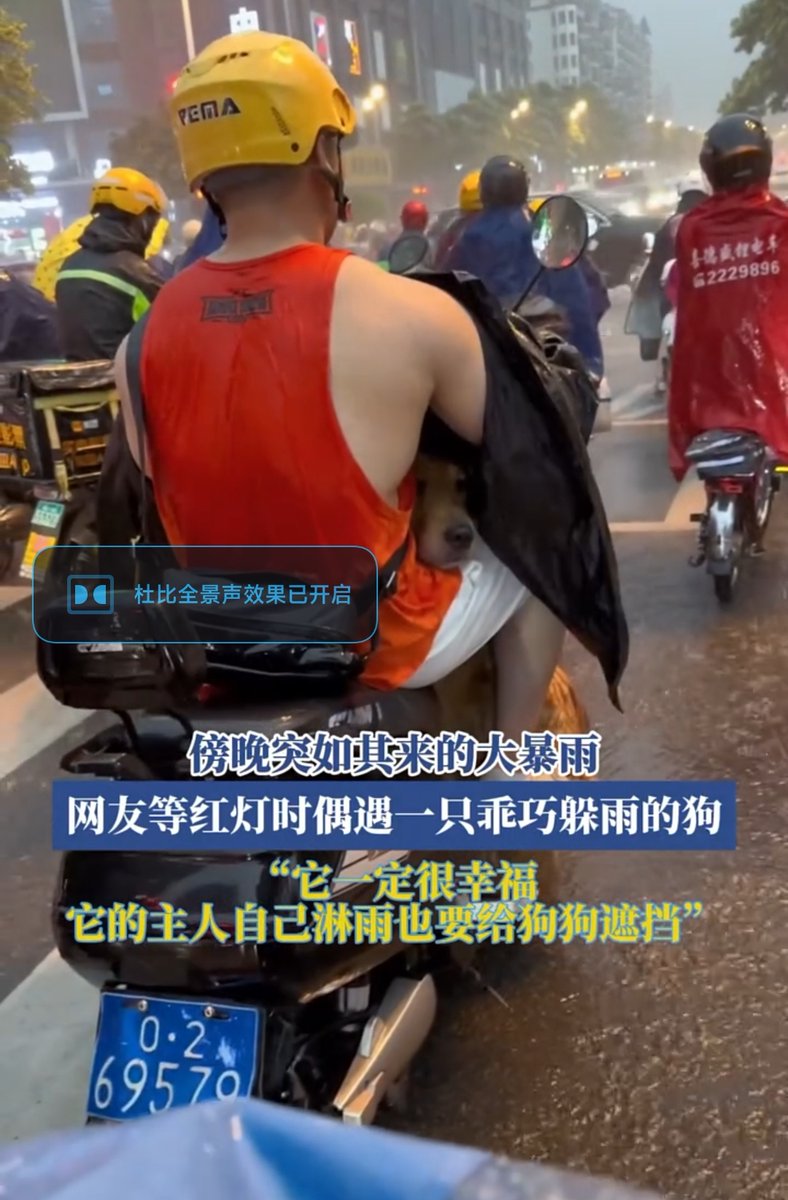 justinediamonon's tweet image. Spotted a stranger share their umbrella with a soaked pup today. Small kindnesses wrap the world in warmth.  #KindnessMatters #SmallActs