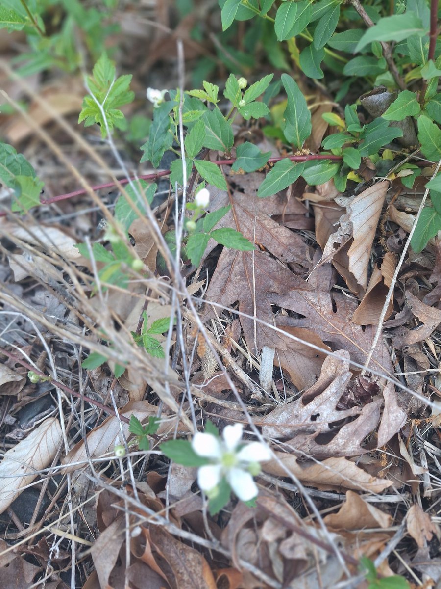 smith86n's tweet image. ......
 #startrek 
#doctorwho 

There  is climate change  ...
...  #god