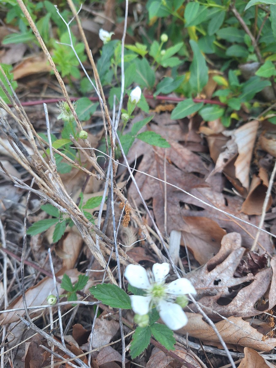 smith86n's tweet image. ......
 #startrek 
#doctorwho 

There  is climate change  ...
...  #god