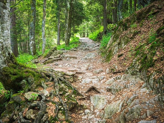 Sal Dorsey tweet media