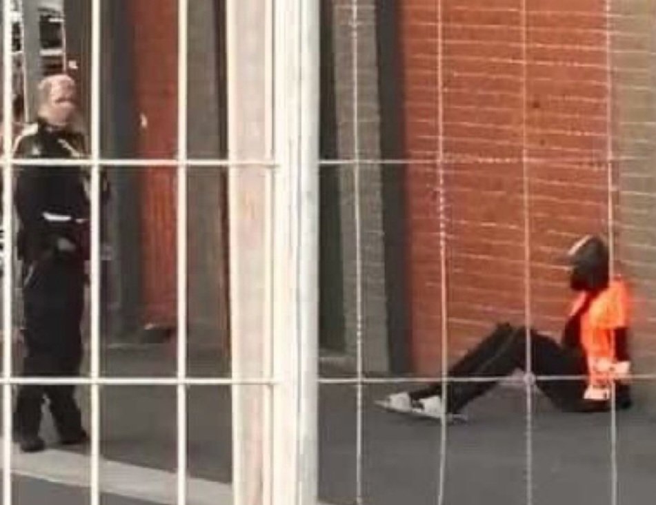 Buntz#23..👊👊👊 tweet media