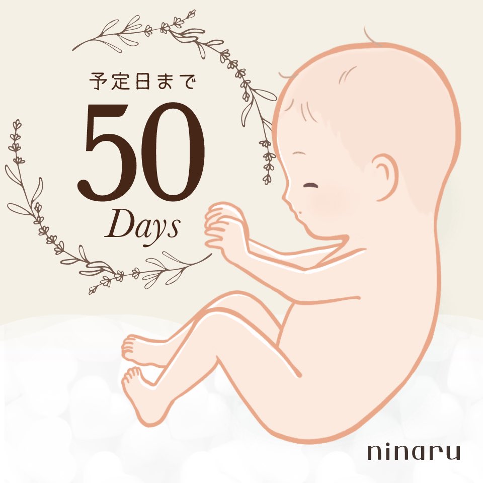 えむ🤰初マタ🎀 tweet media